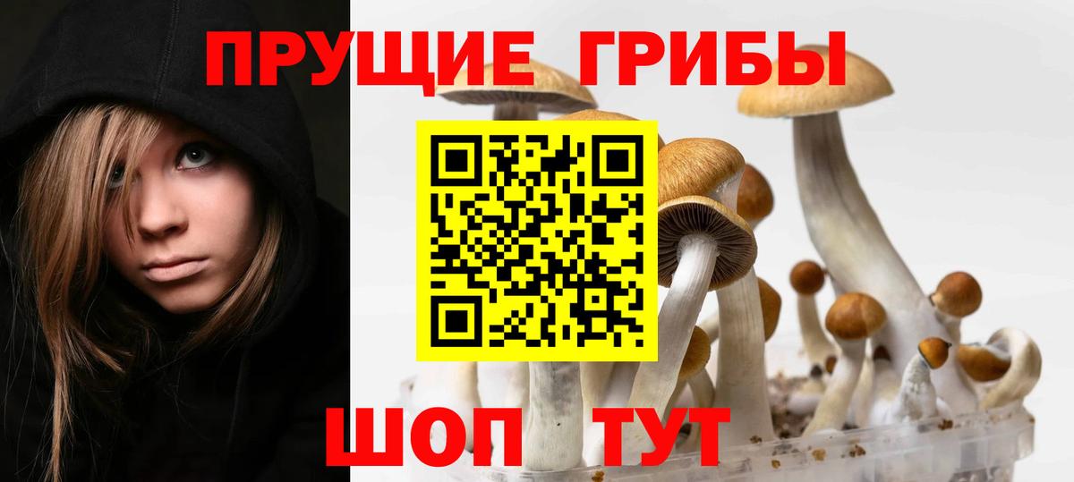 Сорочинск  Галлюциногенные грибы Psilocybine cubensis  Вход с VPN  купить закладку  Галлюциногенные грибы Cubensis 